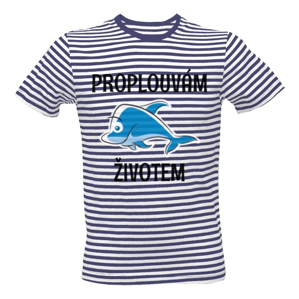 Proplouvám životem